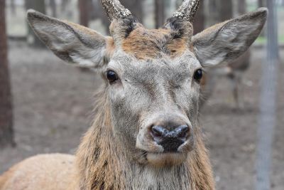 Grupa Łazik - wycieczka rowerowa do Mini ZOO w Kajetanach