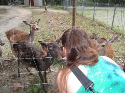 Wycieczka rowerowa do Mini Zoo