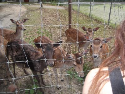 Wycieczka rowerowa do Mini ZOO w Kajetanach